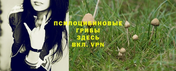 2c-b Баксан